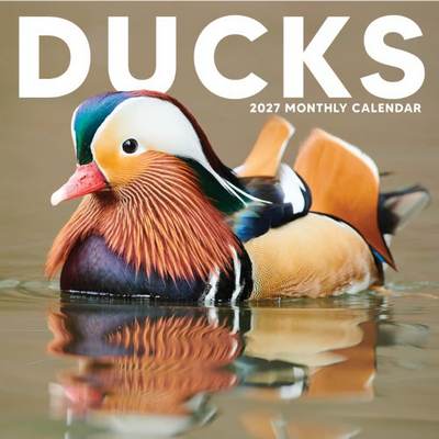 Ducks 2027 Wall Calendar