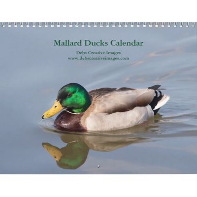2027 Mallard Ducks | Wildlife Photography Calendar