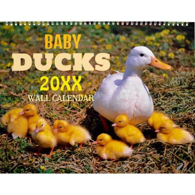 Baby Ducks 2027 Wall Calendar
