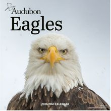 2026 Eagles Calendar
