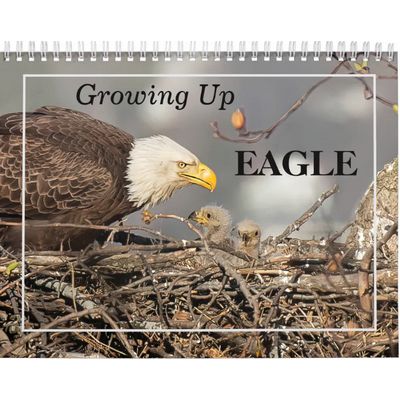 Growing Up EAGLE Calendar