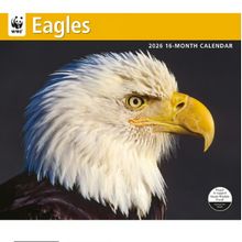 Eagles WWF 2026 Wall Calendar