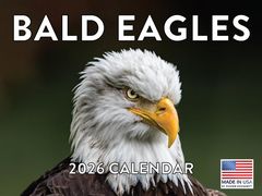 Bald Eagles 2026 Wall Calendar