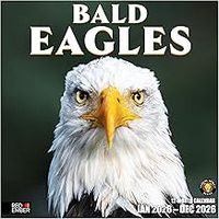 Bald Eagles 2026 Wall Calendar