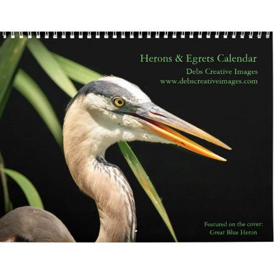 2027 Herons & Egrets | Wetland Bird Photography Calendar