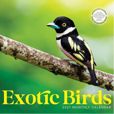 Exotic Birds 2027 Calendar