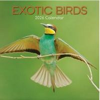 Exotic Birds 2026 Calendar