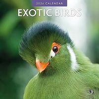 Exotic Birds 2026 Calendar