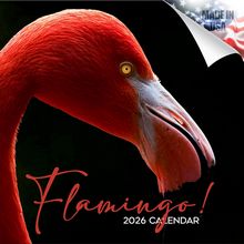 Flamingos 2026 Calendar