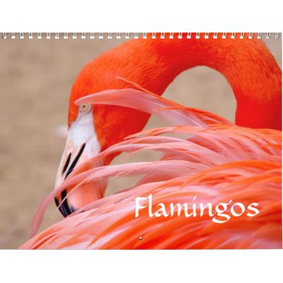 Flamingos 2027 Calendar