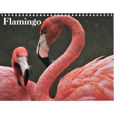 Flamingos 2027 Calendar