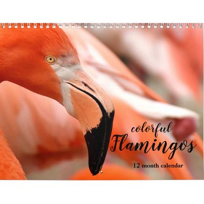 Colorful Flamingos 2027 Calendar