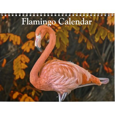 Flamingos 2027 Calendar