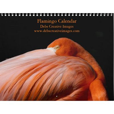 2027 Flamingos of Florida Calendar