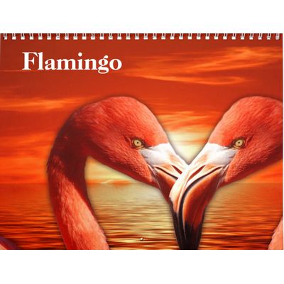 Flamingos 2027 Calendar