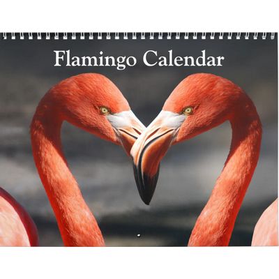 Flamingos 2027 Calendar