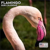 Flamingos 2026 Calendar