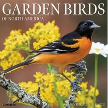 2026 Garden Birds Calendar