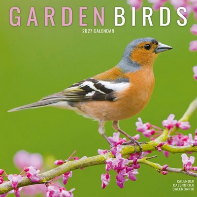 Garden Birds 2027 Wall Calendar
