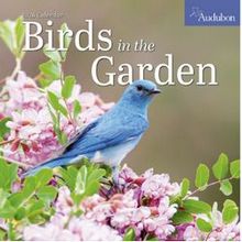 Birds in the Garden 2026 Calendar