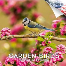 Garden Birds 2026 Wall Calendar