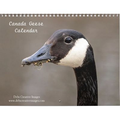 2027 Canada Geese | Family & Wildlife Photography Calendar
