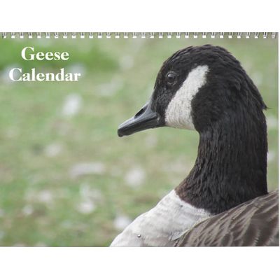 Geese 2027 Calendar