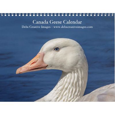 2027 Canada Geese | Family Wildlife Photography Calendar