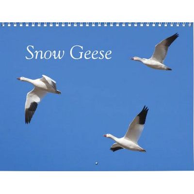 2027 Snow Geese Calendar
