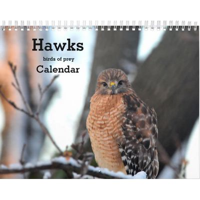 Hawks Birds of Prey Calendar