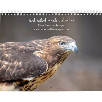 Red-tailed Hawks Calendar