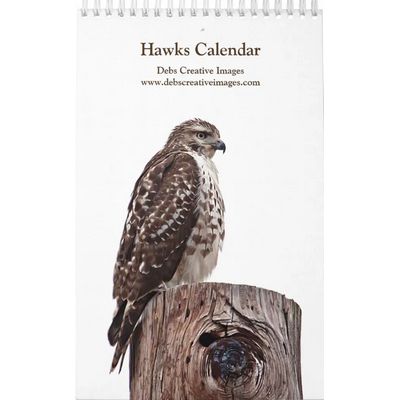 2027 Hudson Valley Red-tailed Hawks | Wildlife Pho Calendar