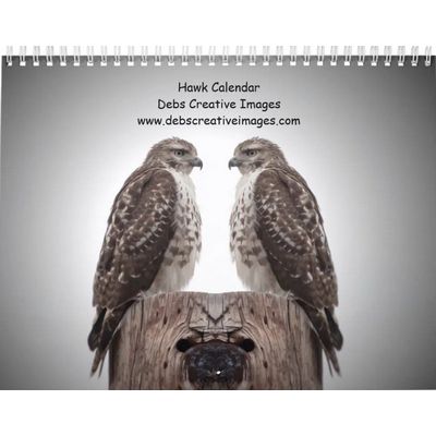 2027 Red-tailed & Cooper's Hawks | Wildlife Calendar