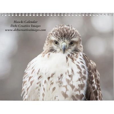 2027 Hawks of the Hudson Valley | Wildlife Calendar