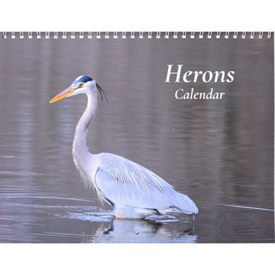 Herons 2027 Calendar