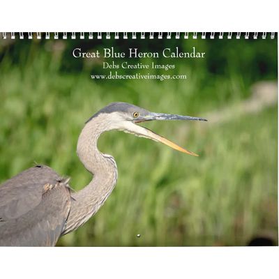 2027 Great Blue Herons | Wetland Wildlife Calendar