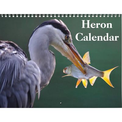 Herons 2027 Calendar