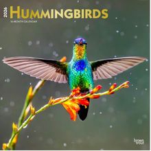 Hummingbirds 2026 Wall Calendar