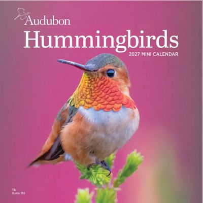 Hummingbirds 2027 Wall Calendar