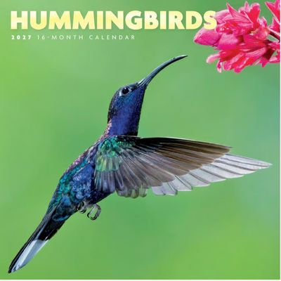 Hummingbirds 2027 Mini Wall Calendar