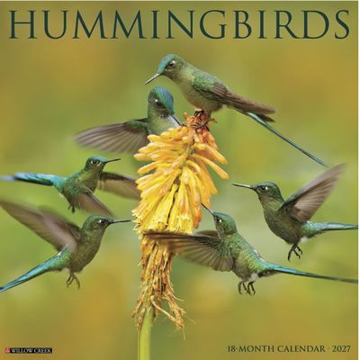 Hummingbirds 2027 Wall Calendar