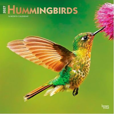 Hummingbirds 2027 Wall Calendar