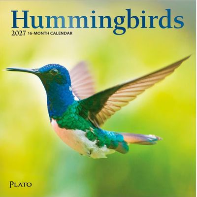 Hummingbirds Plato 2027 Mini Wall Calendar
