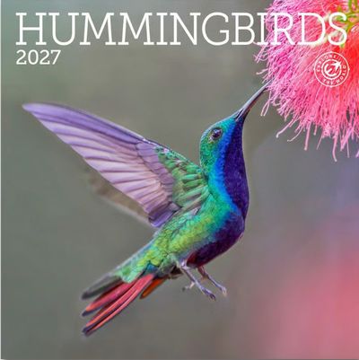 Hummingbirds 2027 Mini Wall Calendar