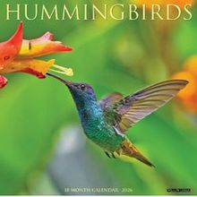 Hummingbirds 2026 Wall Calendar