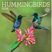 Hummingbirds 2026 Mini Wall Calendar