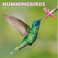 Hummingbirds 2026 Mini Wall Calendar