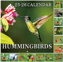 Hummingbirds 2026 Calendar