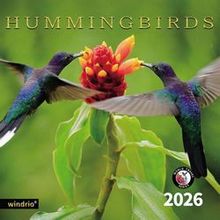 Hummingbirds 2026 Calendar