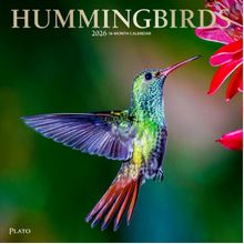 Hummingbirds 2026 Calendar
